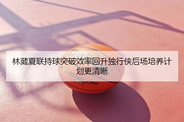 林葳夏联持球突破效率回升独行侠后场培养计划更清晰
